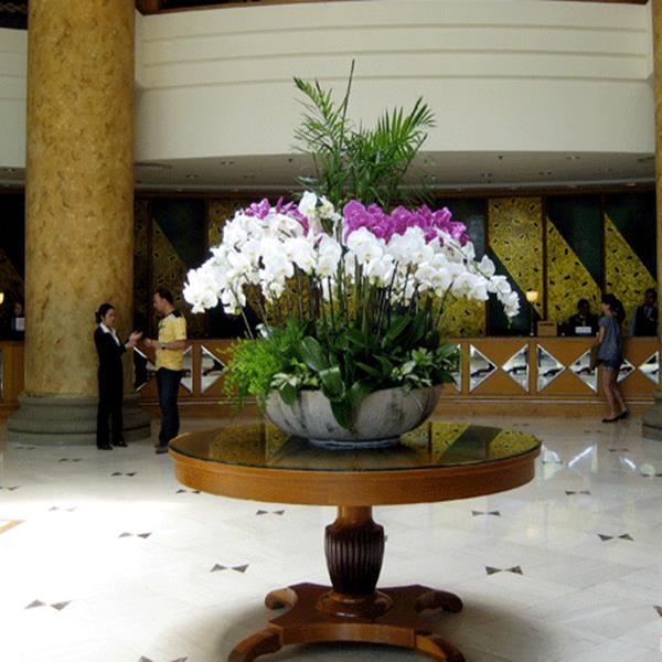 Hoa tiền sảnh KS 004